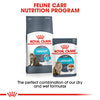 Royal Canin Urinary Care Adult Wet Cat Food Gravy