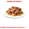 Royal Canin Urinary Care Adult Wet Cat Food Gravy