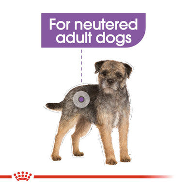 Royal Canin Mini Sterilised Care Adult Dry Dog Food