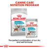 Royal Canin Urinary Care Adult Wet Dog Food Pouches