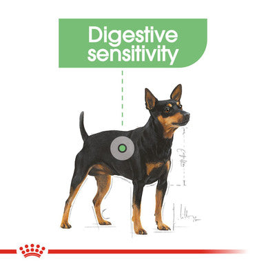 Royal canin shop mini digestive