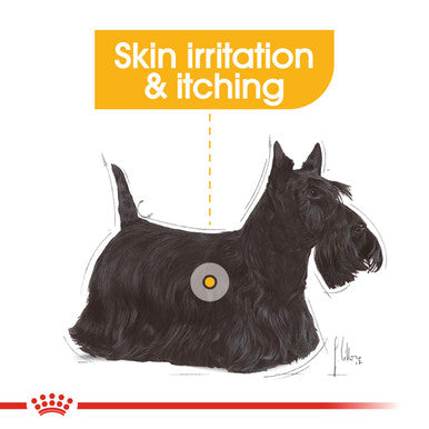 Royal Canin Mini Dermacomfort Adult Dry Dog Food