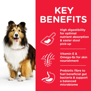 Hills Science Plan Sensitive Stomach Skin Medium Adult 1+ Dry Dog Food Chicken