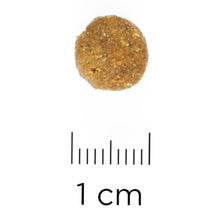 Hills Science Plan Adult 1 6 Dry Cat Food Chicken