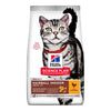 Hills Science Plan Feline Hairball Indoor