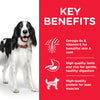 Key Benefits of Hills Science Plan Medium Adult 1 6 Dry Dog Food Lamb Rice