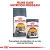 Royal Canin Adult Intense Hair Skin Wet Cat Food