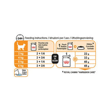 Royal Canin Adult Intense Hair Skin Wet Cat Food