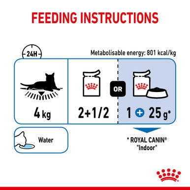 Royal canin hotsell indoor adult