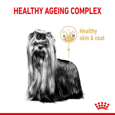 Royal canin 2024 yorkshire terrier 28