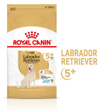 Royal Canin Labrador Retriever Ageing Adult 5+ Dry Dog Food
