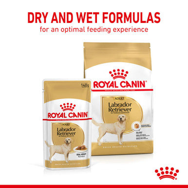 Royal Canin Labrador Retriever Adult Wet Dog Food Loaf in Sauce
