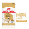 Royal Canin Labrador Retriever Adult Wet Dog Food Loaf in Sauce