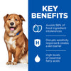 Hills Prescription Diet Derm Complete Skin Care and Food Sensitivities AdultSenior Dry Dog Food Original - Key Benefits