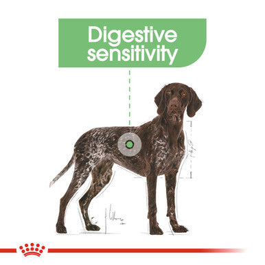 Royal canin digestive discount care large dog