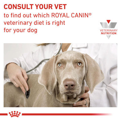 Royal Canin Gastrointestinal Adult Wet Dog Food