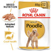 Royal Canin Poodle Adult Wet Dog Food