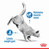 Royal Canin Ultra Light Care In Gravy Adult Cat Wet Food Jelly