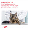 Royal Canin Ultra Light Care In Gravy Adult Cat Wet Food Jelly
