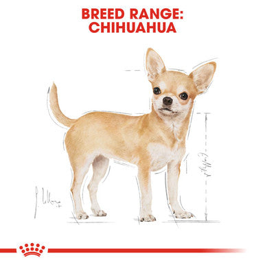 Royal Canin Chihuahua Small Adult Wet Dog Food