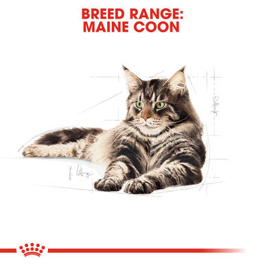Royal Canin Maine Coon Adult Cat Wet Food in Gravy