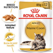 Royal Canin Maine Coon Adult Cat Wet Food in Gravy