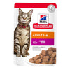 Hills Science Plan Adult Beef Wet Cat Food