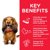 Hills Science Plan Adult Oral Care Chicken Dry Dog Food - Key Benefits