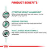 Product Benefits of Royal Canin Feline Satiety Adult Wet Cat Food 