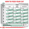 How to feed your cat using Royal Canin Feline Satiety Adult Wet Cat Food