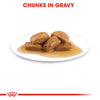 Royal Canin Maxi Ageing in Gravy Wet Dog Food