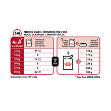 Royal Canin Medium Ageing 10+ Senior in Gravy Wet Dog Food