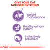 Royal Canin Sterilised Adult in Jelly Wet Cat Food