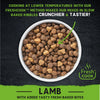 Kibble of Harringtons Just 6 Lamb Complete Dry Dog Food
