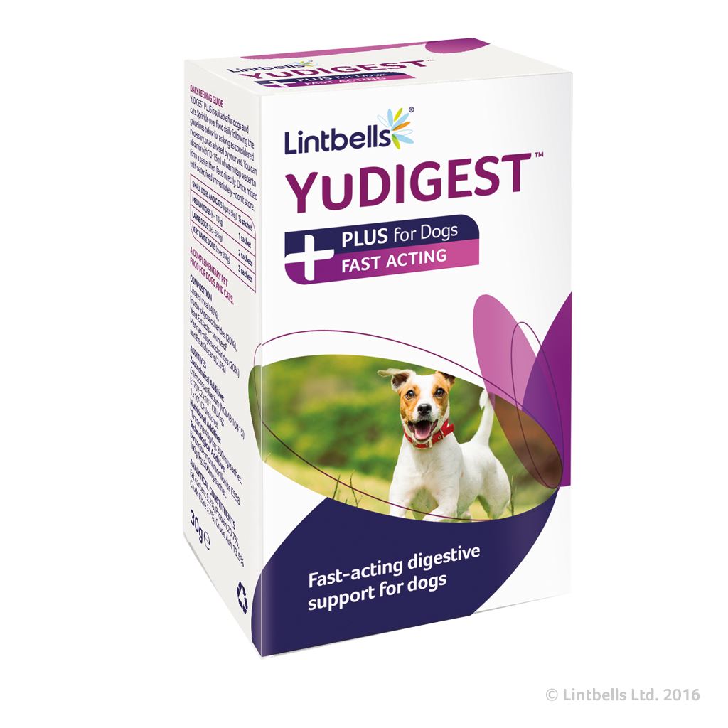 Lintbells Yudigest PLUS for Dogs 6 sachets