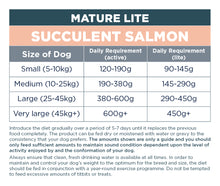 Autarky Complete Lite Salmon Mature Dry Dog Food