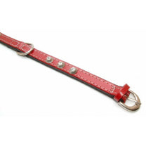 Puppies Cone Leather Collar Orange 15mm X 35cm