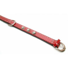 Puppies Cone Leather Collar
