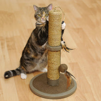 Rosewood Catwalk Collection Cat Scratcher Vigo