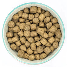 Kibble of Burns Original Fish & Brown Rice Adult & Senior Dry Dog Food