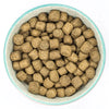 Kibble of Burns Original Fish & Brown Rice Adult & Senior Dry Dog Food