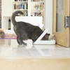 Cat eating using a Surefeed Microchip Pet Feeder