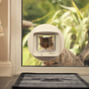 A cat from outside the house is looking in the Sureflap Dualscan Microchip Cat Flap