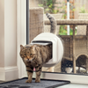 A cat is using the installed Sureflap Dualscan Microchip Cat Flap Door