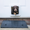 A dog is using the Sureflap Microchip Pet Door Connect