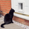 Black cat is looking at the Sureflap Microchip Pet Door Connect