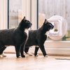 Two black cats near the Sureflap Microchip Cat Flap Connect And Hub