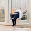 Black cat is using the Sureflap Microchip Cat Flap Connect And Hub