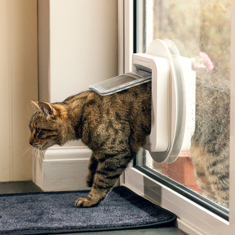 Microchip Pet Door Sureflap Chip Window Cat Door SureFlap