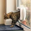 Cat is using the Sureflap Microchip Cat Flap White